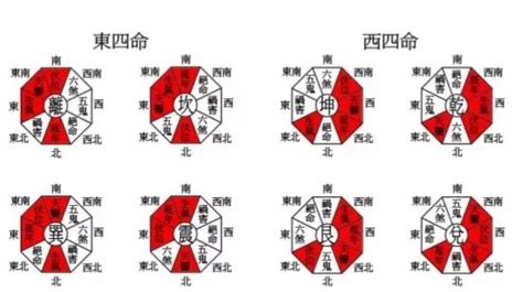 八宅口訣|八宅風水講解：什么是東四宅與西四宅？